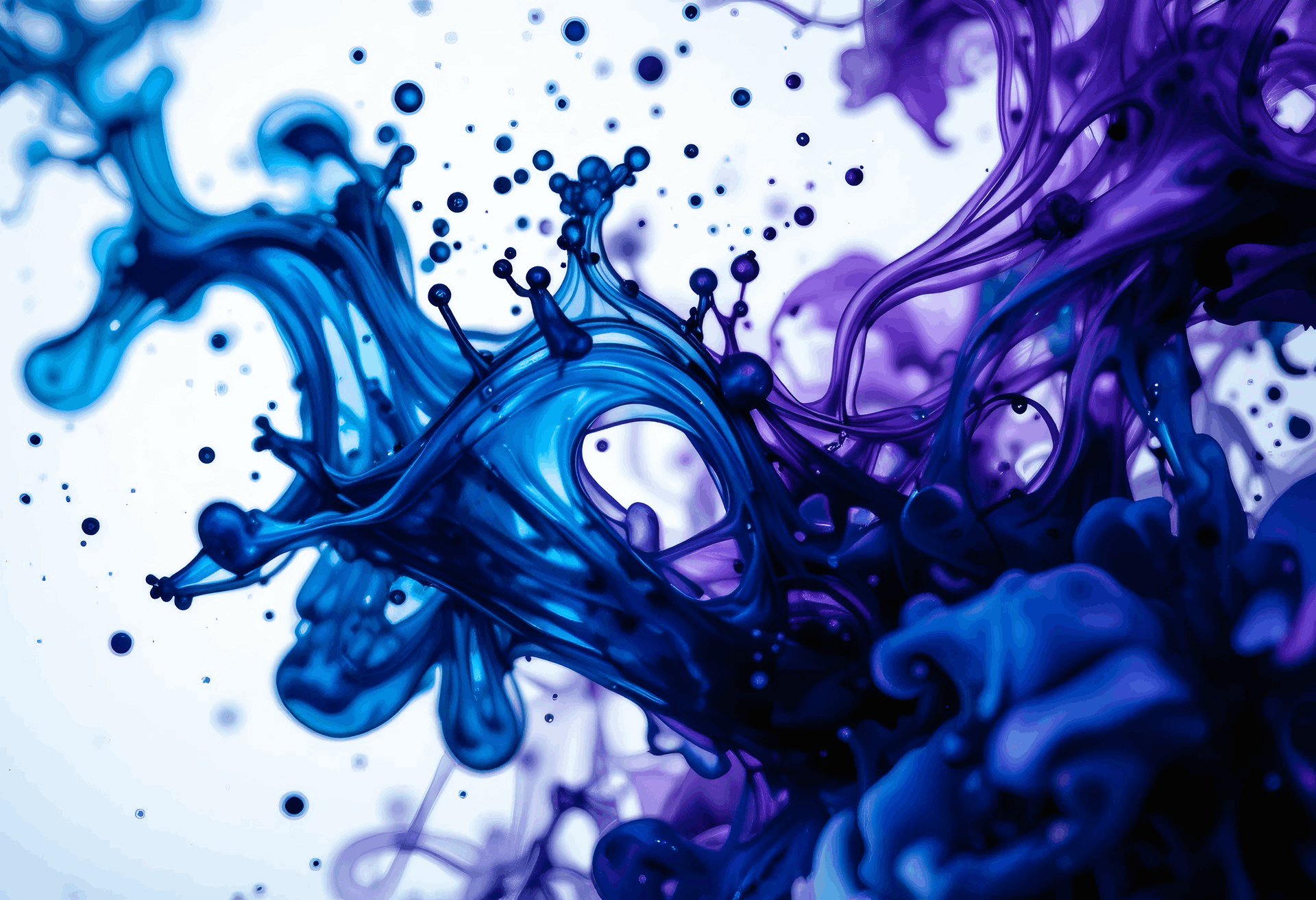 Plasticiser Dispersions